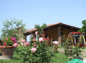image25 Biologico Bellaria