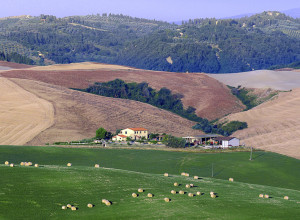 image15 Biologico Bellaria