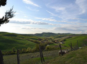 image20 Biologico Bellaria