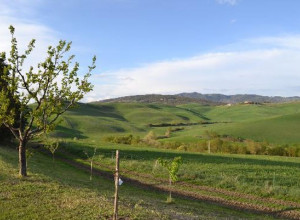 image27 Biologico Bellaria