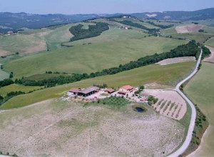 image11 Biologico Bellaria