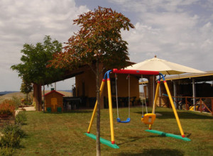 image6 Biologico Bellaria