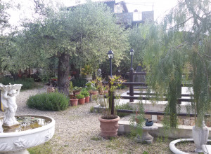 image8 Locanda Dei Boi