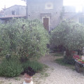 Locanda Dei Boi