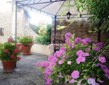 la pietra grezza