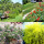 preview image25 giardino