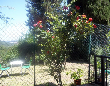 la pietra grezza