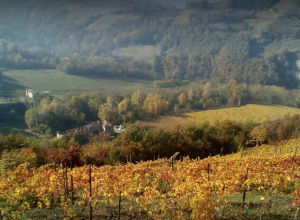 image4 Bosco Della Luja