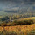 preview image3 panorama