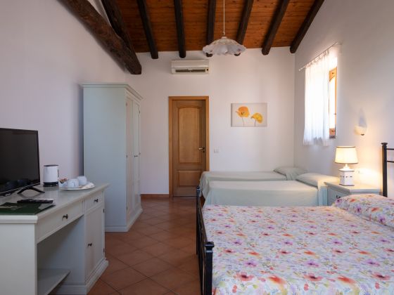 Galea - foto 24