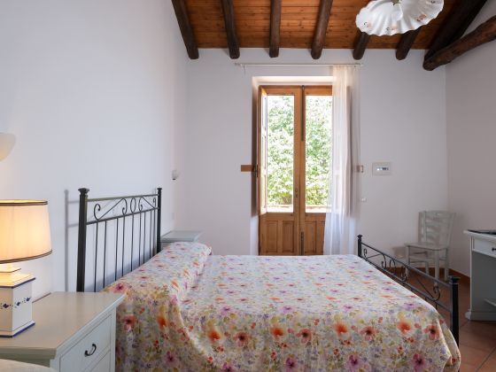 Galea - foto 25