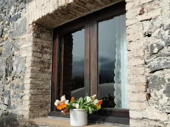 Galea - foto 20