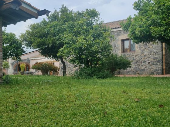 Galea - foto 5