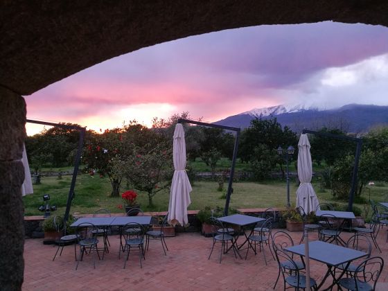 Galea - foto 19
