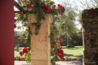 image3 Tenuta Monacelli & Masseria Giampaolo