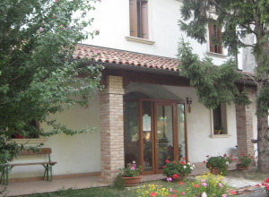 image1 Ae Noseare