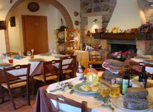 image14 Il Mulinaccio
