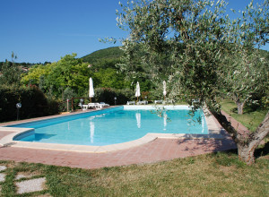image2 Il Mulinaccio