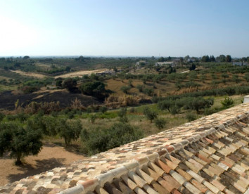 il cuore di  dioniso