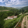 Marcarini