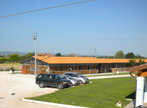 image11 Insolent Inn