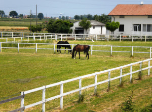 image9 Insolent Inn