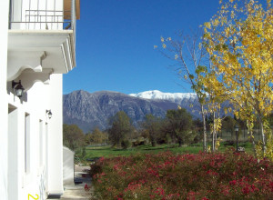 image1 Locanda Dell'asino D'oro