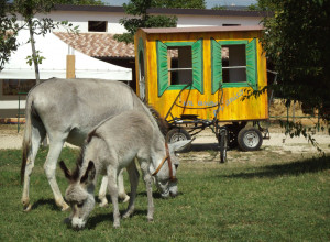 image5 Locanda Dell'asino D'oro