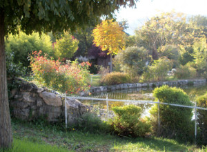 image11 Locanda Dell'asino D'oro