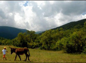 image14 Locanda Dell'asino D'oro