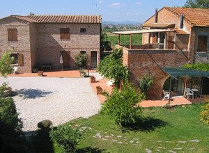 image15 Il Greppo