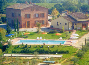 image3 Il Greppo