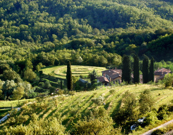 oasi di galbusera bianca