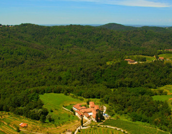 oasi di galbusera bianca