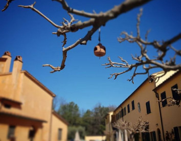 az agricola fattoria la torre