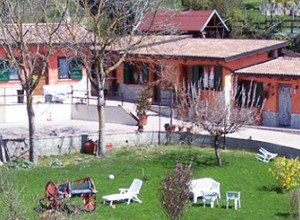 image8 Al Faraone