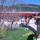 preview image7 esterno