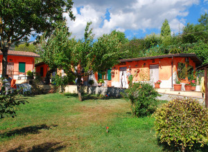image12 Al Faraone