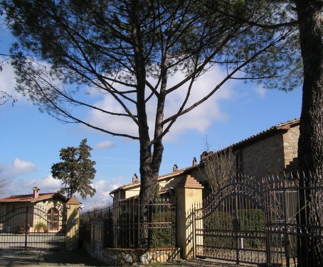 il cherubino - Tuscany