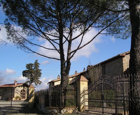 Agriturismo Il Cherubino - San Gimignano