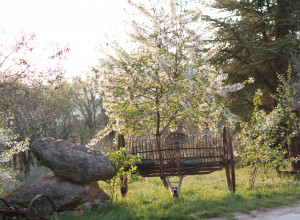 image3 Malvarina