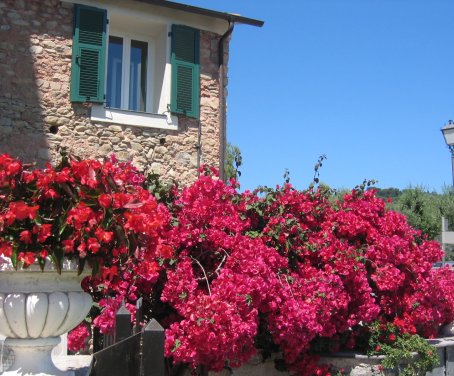 Agritourisme Ca' Dei Conti - San Bartolomeo Al Mare