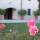 preview image18 attività