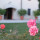 preview image6 parco