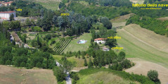 Fattoria Della Nave