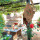 preview image14 terrazza