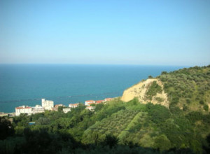 image7 Il Golfo Degli Aranci