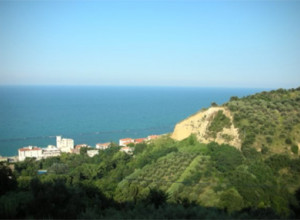 image6 Il Golfo Degli Aranci