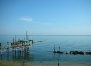 image1 Il Golfo Degli Aranci