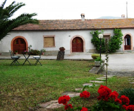Monte Alzato